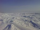 Фотография Фоломеевой Светланы