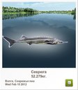 Людмила Бабікова фотография #41 (источник - https://vk.com/id155289329)