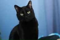 Фотография Каримовой Ирины