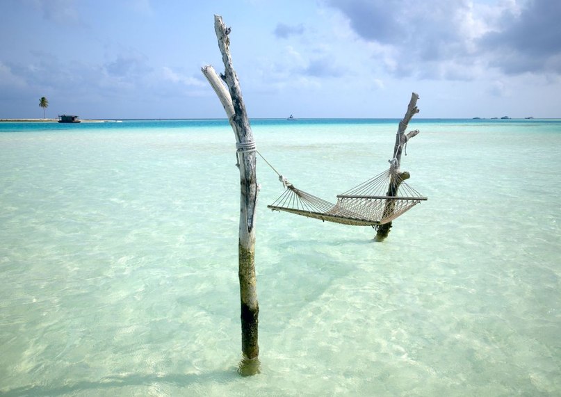 Сашко Сам фотография #14