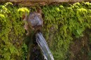 Іван Курчицький фотография #14 (источник - https://vk.com/id162698681)