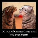 Фотография Марченко Алеси