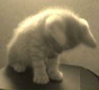 Фотография Рождествиной Марины