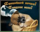 Іра Бохонко фотография #50 (источник - https://vk.com/id141916773)