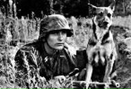 Фотография Леонтьева Андрея