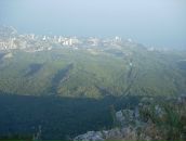 Фотография Шаповала Андрея