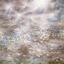 Фотография Апашкина Александра