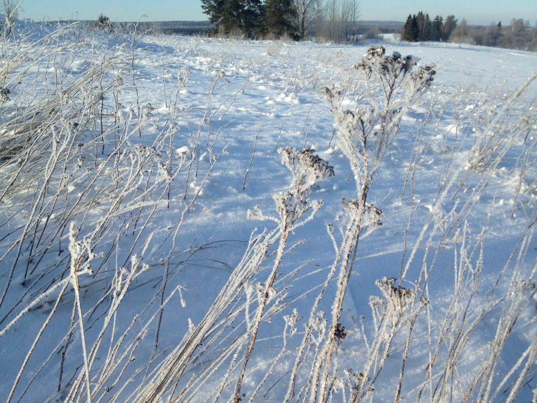 Лена Молодяну фотография #18