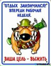 Ванюха :) фотография #22 (источник - https://vk.com/id152061599)