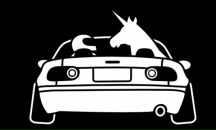 Евгений Стародынов фотография #44 (источник - https://vk.com/id520315)