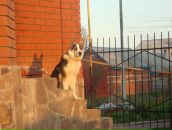 Фотография Марцевой Евгении