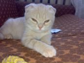 Фотография Андреичевой Александры