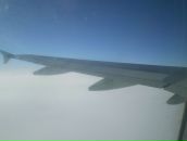 Фотография Сунсина Александра