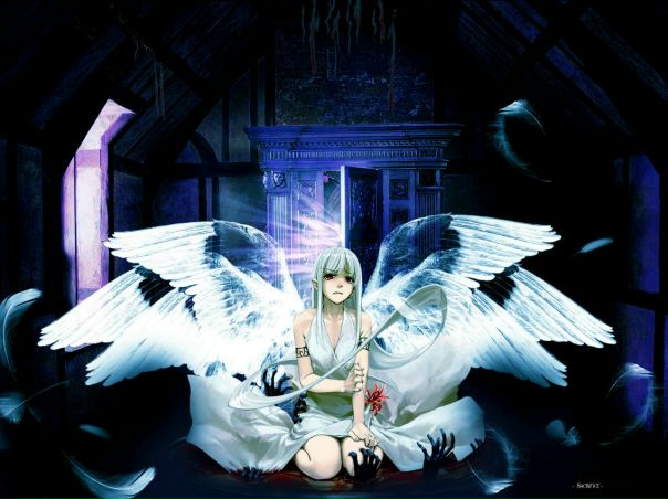 №20, Снежана Мездрина №20, Снежана Мездрина