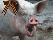 Фотография Медведева Мария