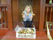 Фотография Михалёвой Екатерины