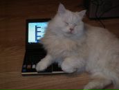 Евгений Кабин фотография #11 (источник - https://vk.com/id6736668)