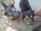 Наталя Василів фотография #38 (источник - https://vk.com/id134546216)