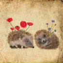 Фотография Лебёдкиной Евгении