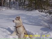 Фотография Пинчук Людмилы