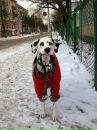 Михаіл Чумак фотография #6 (источник - https://vk.com/id128233181)