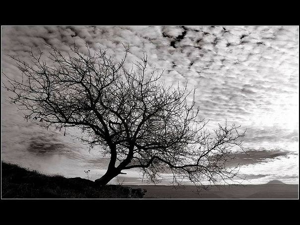 Beautiful Death фото №1