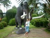 Фотография Васильева Дениса