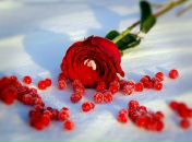 Анастасія Полевик фотография #39 (источник - https://vk.com/id15078244)