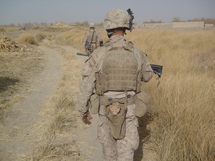 Константин Марк фотография #49