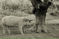 Фотография Гусева Саши