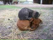 Фотография Жуковой Наташи