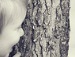 Діанка Кудря фотография #15 (источник - https://vk.com/id147291958)