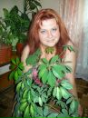 Света Толстошеева фотография #1