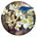 Наташа Зелінська фотография #20 (источник - https://vk.com/id74749182)