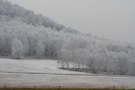 Yuri Bishaev фотография #15 (источник - https://vk.com/id770221)