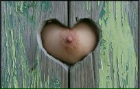 Фотография Максименко Егора