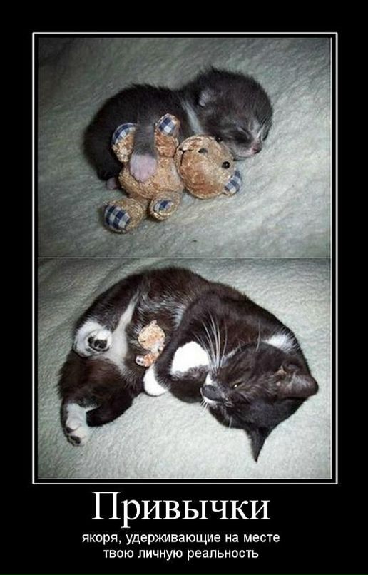 Дмитрий Викторов фотография #31