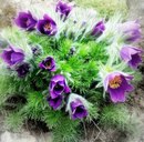 Марійка Жук фотография #22 (источник - https://vk.com/id167815001)