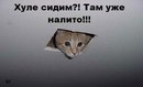 Матвій Захаревич фотография #11 (источник - https://vk.com/id142131353)