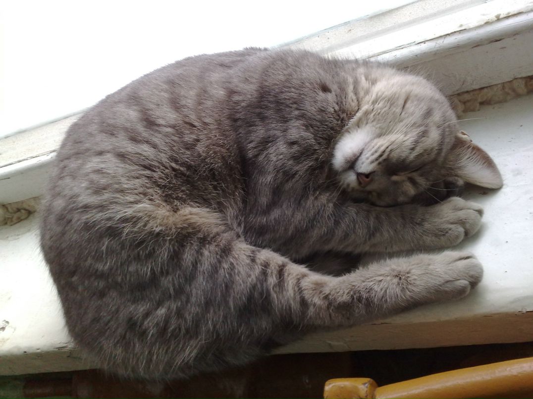 Иван Горбатенко фотография #25