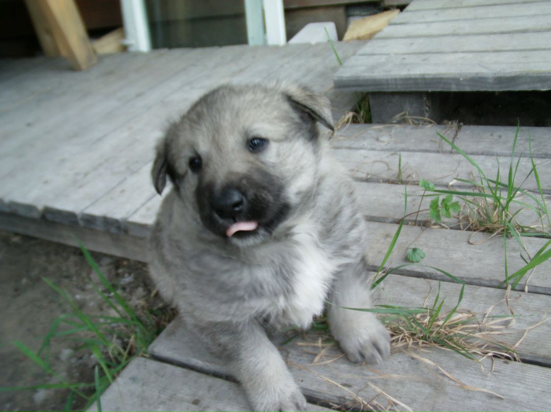 Андрей Арестов фотография #43