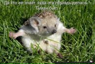 Фотография Михахоса Владимира