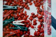 Аліна Ковалевська фотография #49 (источник - https://vk.com/id2737132)