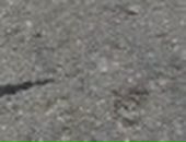 Євген Орлов фотография #27 (источник - https://vk.com/id5032444)