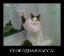 Віталій Романчук фотография #34 (источник - https://vk.com/id53445741)