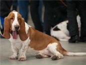 Фотография Томурова Евгения