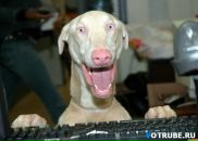 Фотография Сериковой Евгении