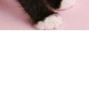 Олександра Сузінович фотография #15 (источник - https://vk.com/id67921577)