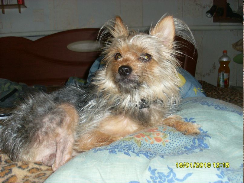 Сергей Яковлев фотография #34