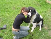 Фотография Крылатой Аурелии